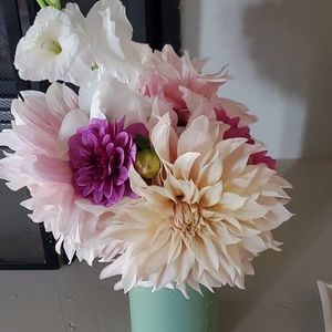 Meet your Posher, Lenka